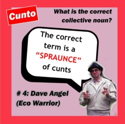 Dave Angel taking no shit on the collective noun question